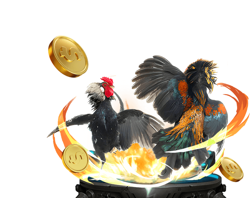 PH789 Sabong Betting